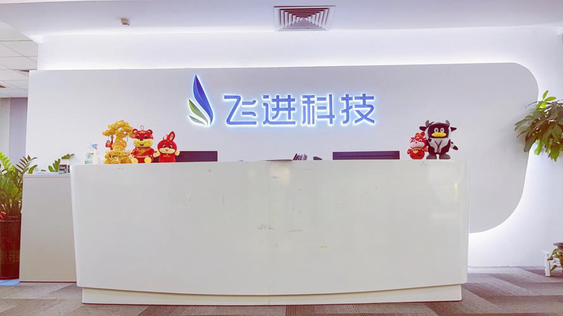 探飞网络科技